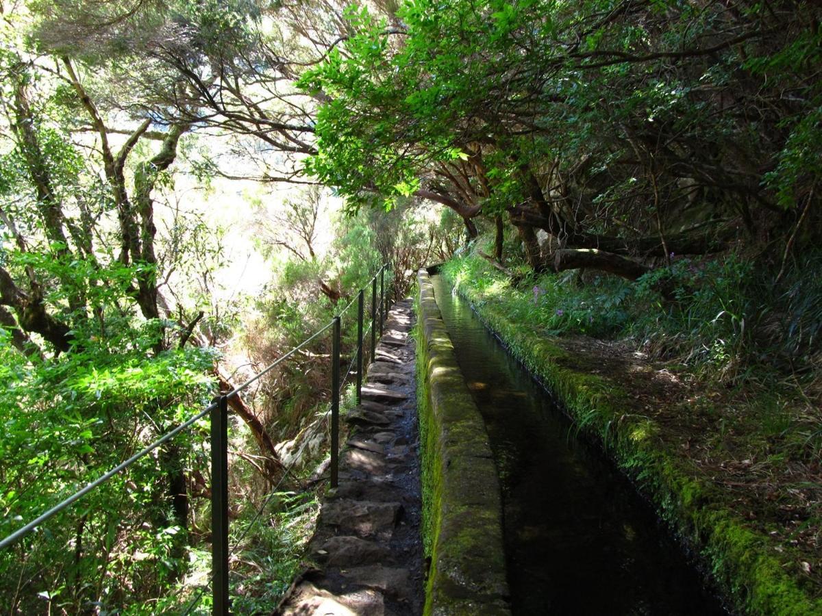 Beautiful View 1 - Arco Da Calheta - Ilha Da Madeiraアパートメント エクステリア 写真